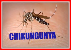 dengue chikungunia malaria case supreme court asking to yogi aditnath