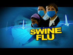 government of gujarat is busy in election and bhuj is suffering from swine flue and dengue4